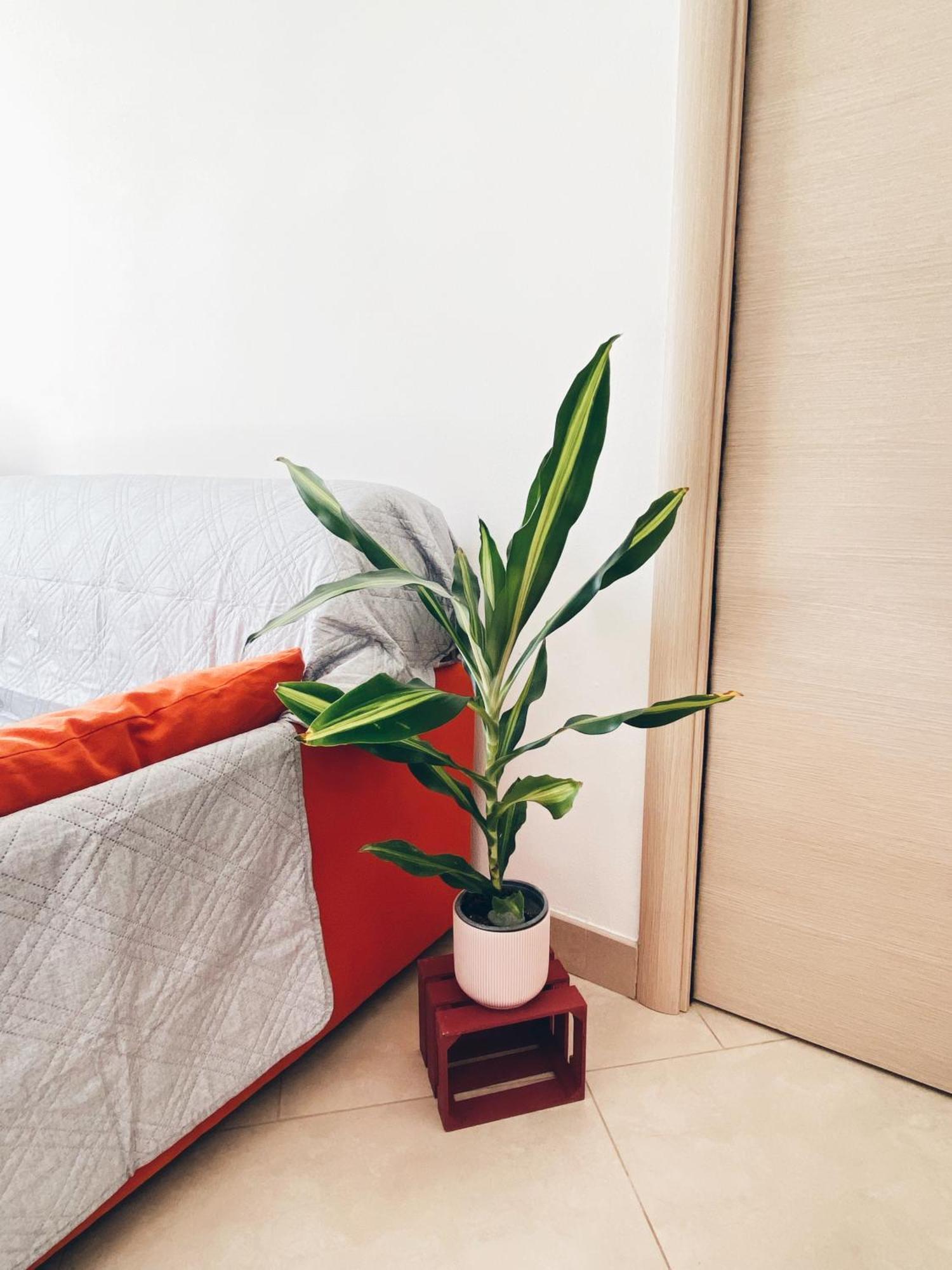 Apartment In Siena With Private Parking Εξωτερικό φωτογραφία